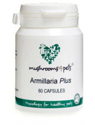 Armillaria Plus (500mg) 60x