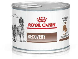 Royal Canin Recovery konzerv 195g
