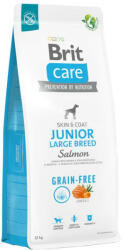 Brit Grain-free Junior Large Breed Salmon & Potato 1kg