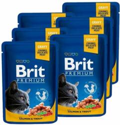 Brit Premium Cat pentru pisici adulte cu somon și păstrăv 6x100g