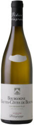 Domaine Henri Delagrange Bourgogne Hautes-Cotes de Beaune Blanc 2021(0, 75L)