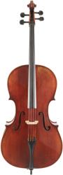 Eastman Rudoulf Doetsch Cello 4/4 (VC701G )