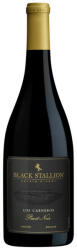 BLACK STALLION Limited Release Pinot Noir 2018 (0, 75L 14, 5%)