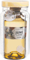 G'Vine June by G'Vine Wild Peach Party Jar Gin (0, 7L 37, 5%)