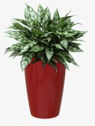 Artevasi Santorini 40/78 cm műanyag növénytartó Dark Red