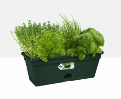 elho Green Basics Trough Mini 30 Leaf Gre