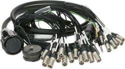 KLOTZ PolyLIVE - RMP 85p mama - 24x XLR daddy 24-pin analogic fanout - PVC - 6m (KMY2400-V3K06)