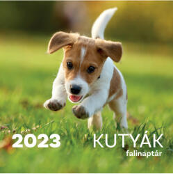 TKK Kereskedelmi Kft Kutyák falinaptár - 2023 - argentumshop