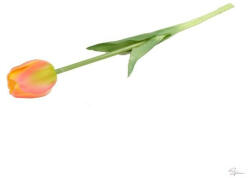  Selyemvirág tulipán szálas gumi 44cm sárga, rózsaszín (DD67051)