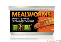 Hagen Exo-Terra Exo Terra Mealworms - eledel (Lisztkukac) terráriumi állatok részére (34g)