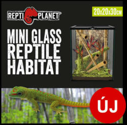 ReptiPlanet Repti Planet mini Glass Reptile Habitat - üveg terrárium (20x20x30cm) - aboutpet - 19 160 Ft
