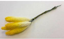 Rügyek P06 kala (5 db - 11 cm) 6325 - dortis (DR-6325)