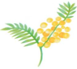 Martellato Stencil airbrush Mimosa gallyhoz - Martellato (40.WM033)