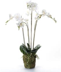 Emerald Orhidee artificială Phalaenopsis cu mușchi, alb, 90 cm 20.355 (414484)