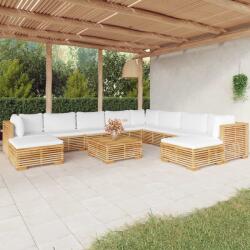 vidaXL Set mobilier grădină cu perne, 11 piese, lemn masiv de tec (3100883)