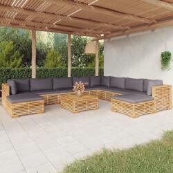 vidaXL Set mobilier grădină cu perne, 11 piese, lemn masiv de tec (3100884)