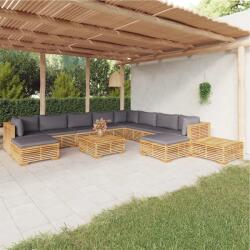 vidaXL Set mobilier grădină cu perne, 12 piese, lemn masiv de tec (3100888)