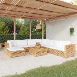 vidaXL Set mobilier grădină cu perne, 9 piese, lemn masiv de tec (3100889)