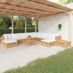 vidaXL Set mobilier grădină cu perne, 12 piese, lemn masiv de tec (3100887)