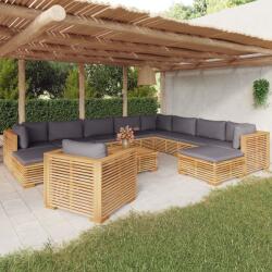 vidaXL Set mobilier grădină cu perne, 12 piese, lemn masiv de tec (3100886)