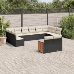 vidaXL Set canapele de grădină, 12 piese, cu perne, negru, poliratan (3260523)