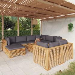 vidaXL Set mobilier grădină cu perne, 10 piese, lemn masiv de tec (3100882)