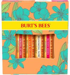 Burt's Bees Just Picked ajakápoló készlet