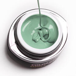 BRILLBIRD Brush&Go színes zselé - GO 132 - 4, 5ml