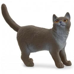 Schleich brit rövidszőrű macska 13973 (13973)