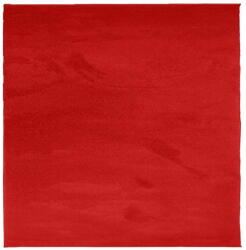 vidaXL OVIEDO piros rövid szálú szőnyeg 160 x 160 cm 375624