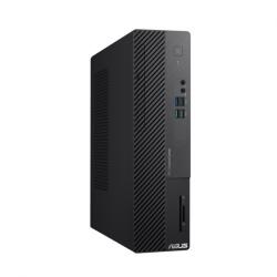 ASUS ExpertCenter D5 D500SE-313100007XA