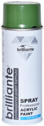 BRILLIANTE Vopsea Spray Verde Reseda (Ral 6011) 400 Ml Brilliante (08713) - autobob