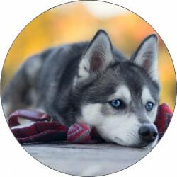 Pictu Hap Ehető papír husky kiskutya a földön fekve 19, 5 cm - Pictu Hap (pic9000593_kruh)