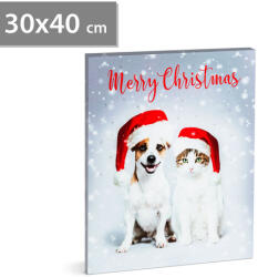 Family Collection Karácsonyi LED-es hangulatkép - fali akasztóval, 2 x AA, 30 x 40 cm (58452)