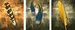 Ipicasso Set 3 picturi pe numere, cu sasiu, Pene, 50 x 120 cm (PC34050011) Carte de colorat