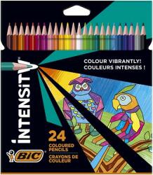 BIC Színes ceruza készlet, háromszögletű, BIC Intensity Up , 24 különböző szín (9641482) - kellekanyagonline