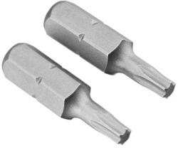 IRWIN TOOLS Bithegy T15 x 25 mm (2 db) (10504837)