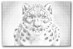 PontPöttyöző - Fekete-fehér leopárd Méret: 40x50cm, Keretezés: Fatáblával, Szín: Fekete