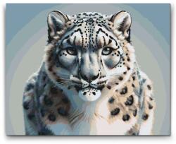  Festés számok szerint - Fekete-fehér leopárd Méret: 40x50cm, Keretezés: Műanyagtáblával