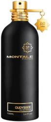 Montale Oudyssee EDP 100 ml Parfum