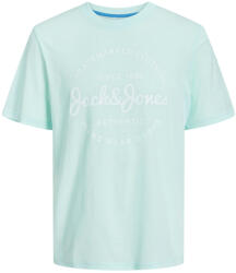 JACK & JONES Tricou pentru bărbați JJFOREST Standard Fit 12247972 Soothing Sea S
