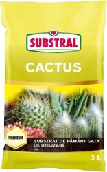 SUBSTRAL Substrat de Pamant pentru cultivarea cactusilor Substral 3 L (1122101)