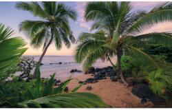 Komar Vlies fotótapéta Hawaiian Dreams 450 cm x 280 cm