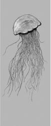 Komar nemszőtt fotótapéta Jellyfish Panel 100 cm x 250 cm 100 cm x 250 cm
