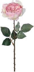 Művirág vadrózsa mályvaszínű 54 cm (10-8256-14)