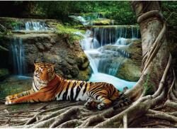 Fotótapéta tigris vízeséssel 160 cm x 110 cm (FTNM2652)