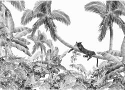 Komar nemszőtt fotótapéta Black Panther 350 cm x 250 cm