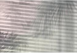 Komar nemszőtt fotótapéta Shades 368 cm x 248 cm FSC