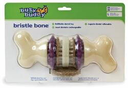 PetSafe Busy Buddy Bristle Bone, L
