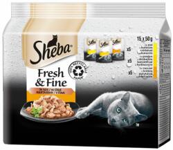 Sheba Fresh & Fine tasak macskáknak, baromfi válogatás 3 x (15 x 50 g)